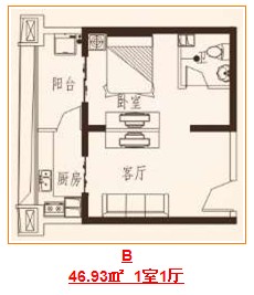 B 1室1廳 46.93㎡